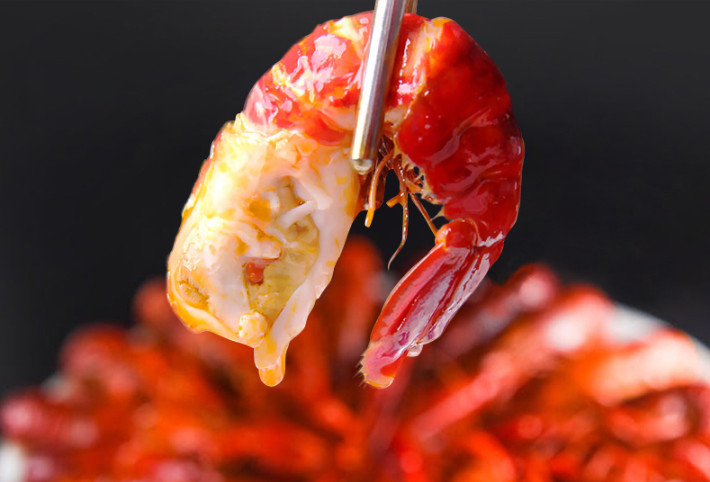 最新龙虾培训,龙虾培训哪里学比较好