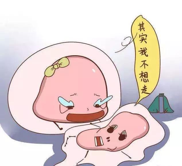 怎么检测自己排卵了,怎样检测是否排卵正常