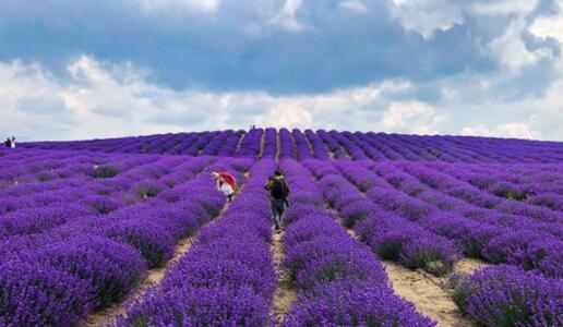 <html>
<head><title>502BadGateway</title></head>
<body>
<center><h1>502BadGateway</h1></center>
<hr><center>nginx</center>
</body>
</html>
<!--apaddingtodisableMSIEandChromefriendlyerrorpage-->
<!--apaddingtodisableMSIEandChromefriendlyerrorpage-->
<!--apaddingtodisableMSIEandChromefriendlyerrorpage-->
<!--apaddingtodisableMSIEandChromefriendlyerrorpage-->
<!--apaddingtodisableMSIEandChromefriendlyerrorpage-->
<!--apaddingtodisableMSIEandChromefriendlyerrorpage-->
