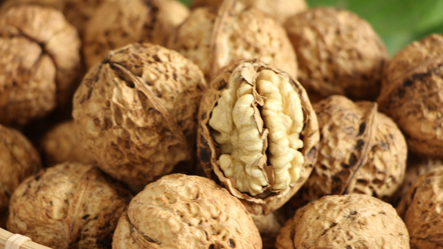 儿童吃哪种核桃仁最好,大人小孩都爱吃的山核桃仁