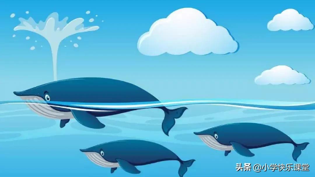 四年级上册语文蝙蝠和雷达课后题,部编版四年级上册语文蝙蝠和雷达