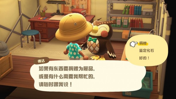 动物之森新手开局,动物之森新手入门教程