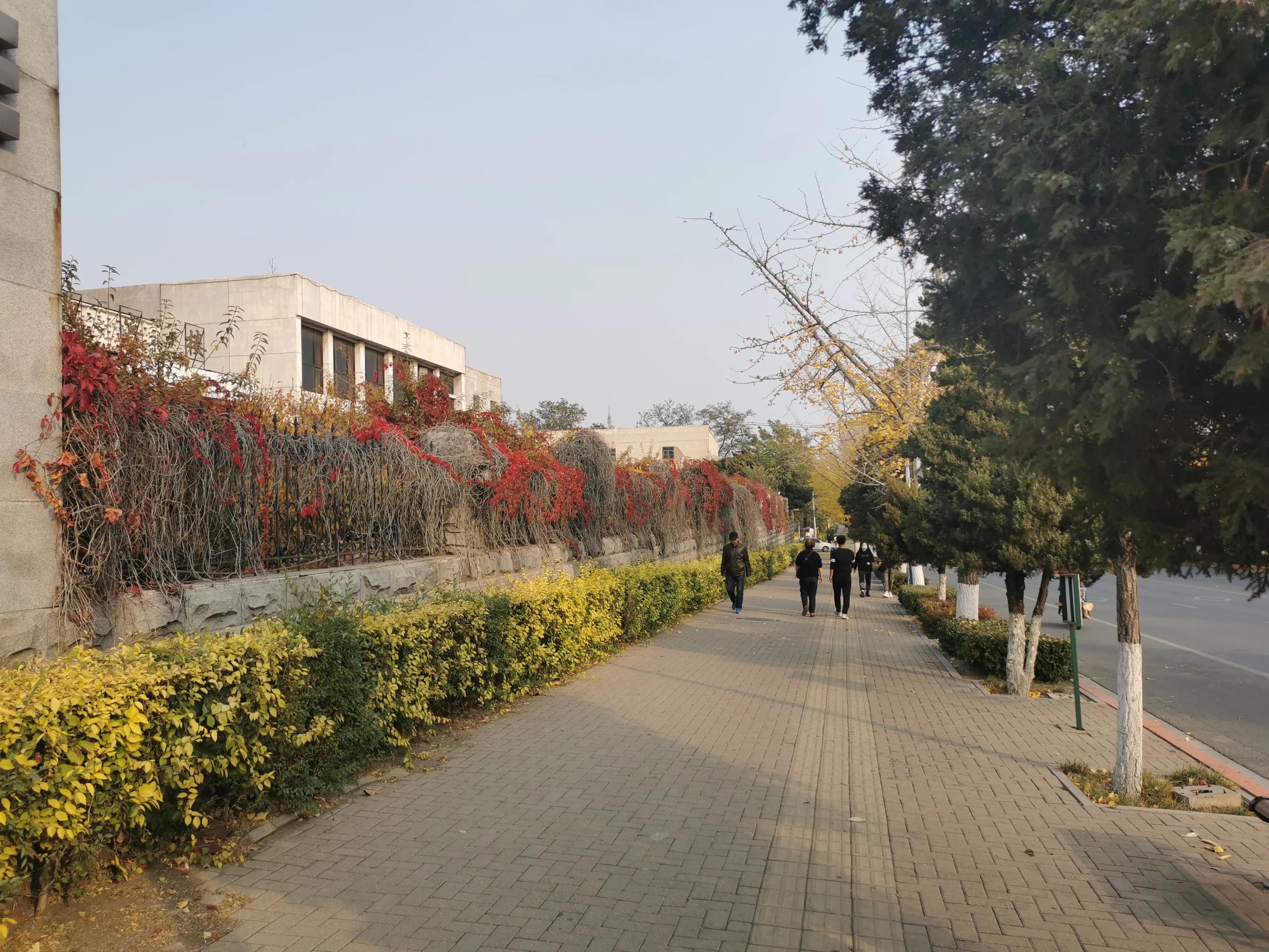 锦州北山宾馆现在在何处,锦州市北山宾馆