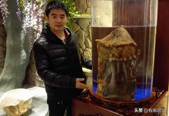 太岁是植物和动物的祖先么,太岁是一种什么东西是植物吗