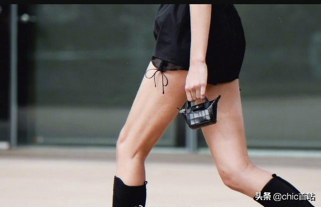 longchamp饺子包mini容量,longchamp迷你饺子包