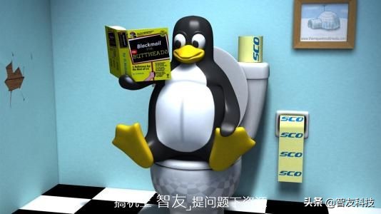 华为新系统与旧系统区别,华为鸿蒙兼容安卓应用