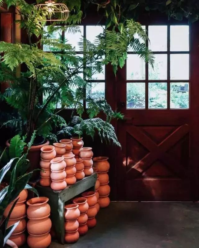 开一家植物美学小店,开一家属于自己的花店