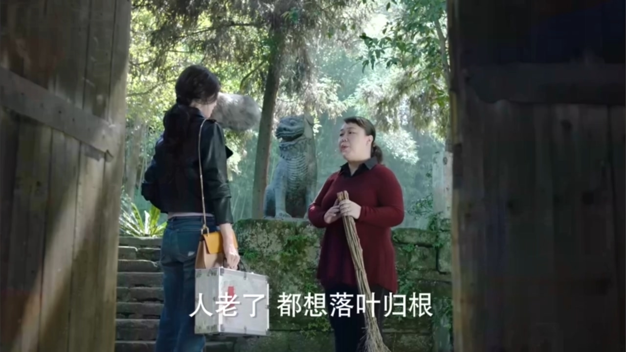 看电视学成语,看电视学习成语