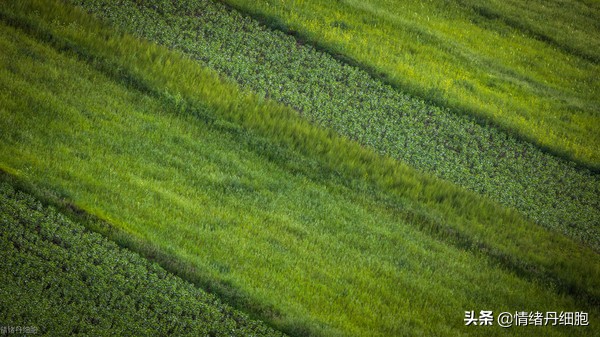 门头沟避暑景点推荐,柳树沟自然风景区旅游攻略