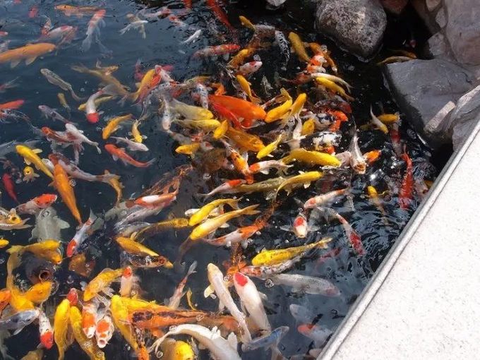 上海地铁附近景点推荐,上海地铁15号线沿线有哪些景点