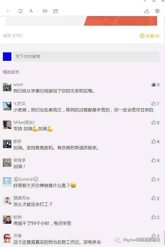 2019新西兰,2019年新西兰