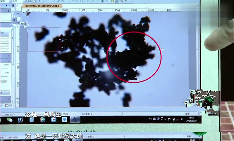 家里除螨虫最好的神器,螨虫清除神器是否能清除螨虫