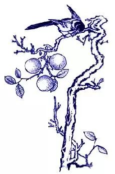 中国传统吉祥图案全集寓意深远,十大民间传统吉祥寓意图案