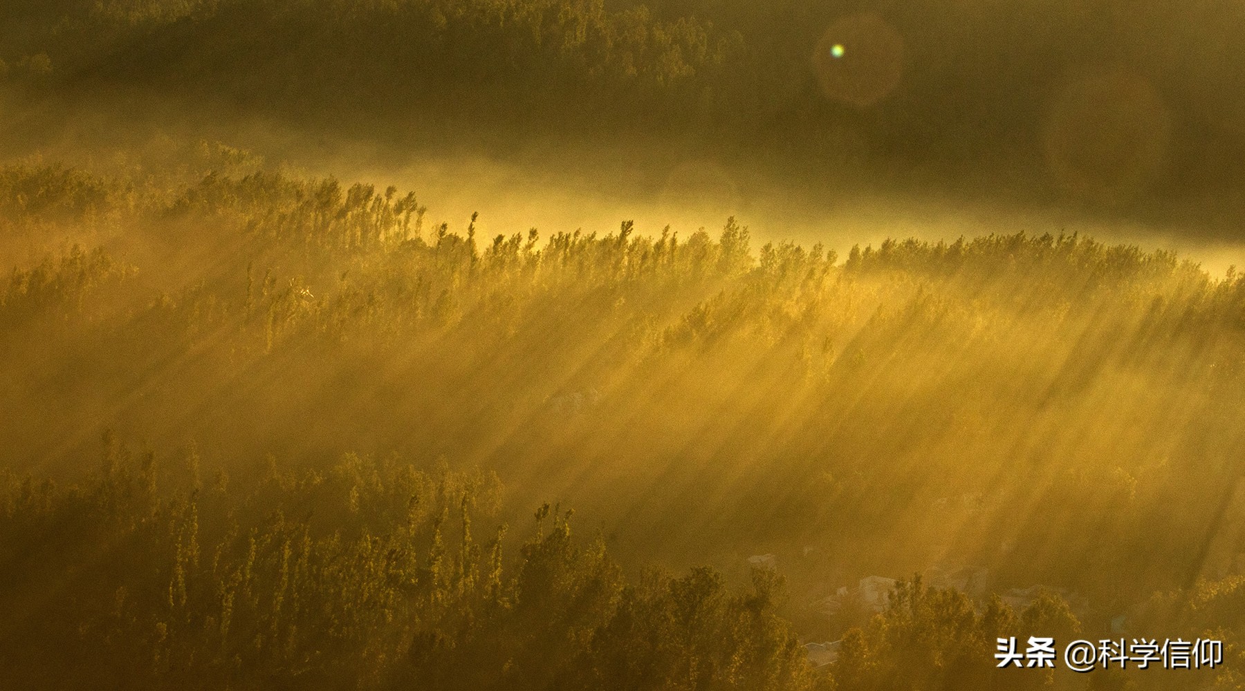 超新星爆发有多强?波及范围可达50光年,地球生物曾因此而灭绝