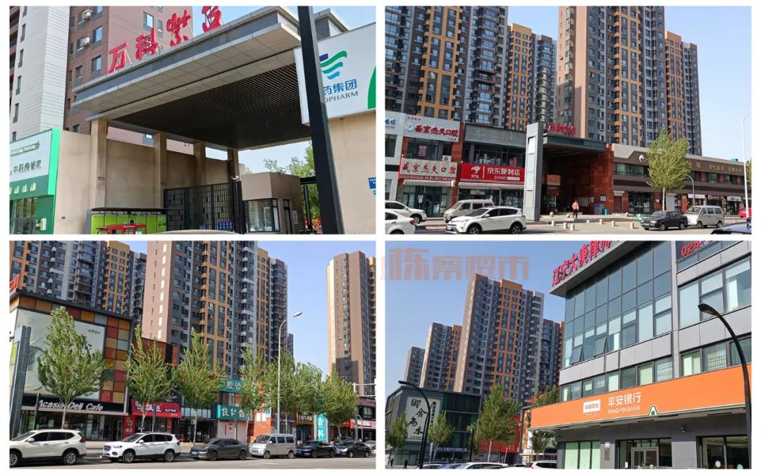 三台子房子值得买吗,三台子房价二手房