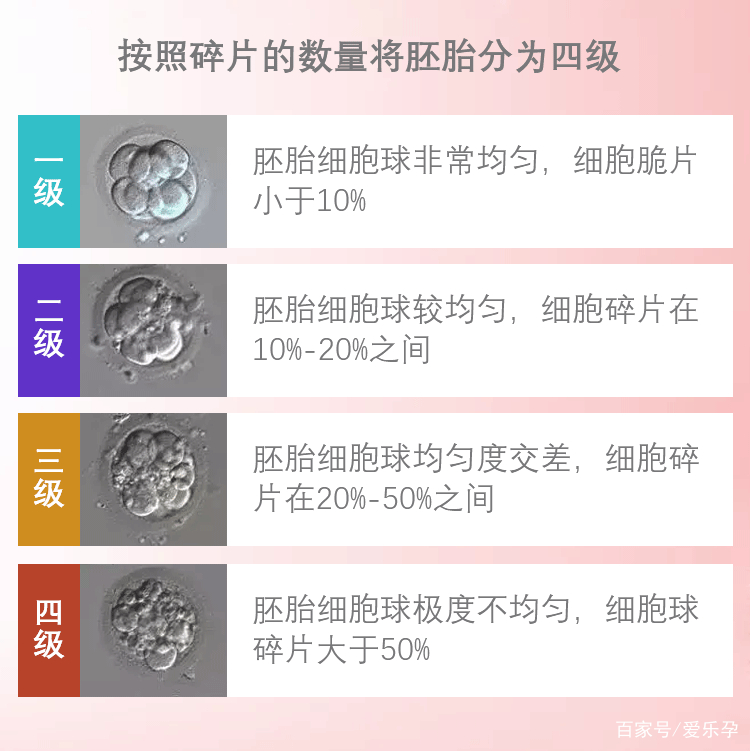 2pn胚胎是几级的胚胎,0pn胚胎是几级胚胎