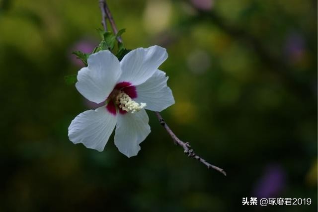 气量小的人有什么特点,气量小的人容易得什么病