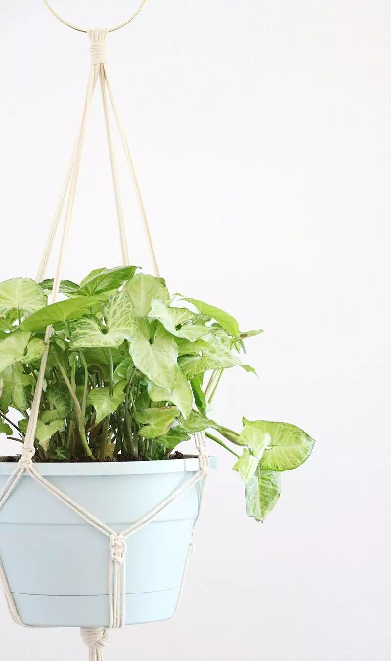 小饰品手绳编织教程,圣诞手绳编织教程简单易学