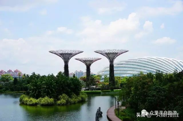 新加坡怎么玩必备攻略,新加坡的攻略