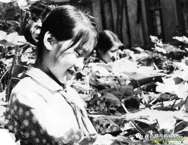 青岛四方小村庄老照片,青岛汉口路小学老照片