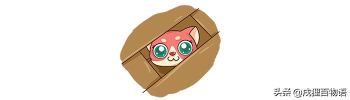 如何让狗狗变得温顺听话,怎么让家里的狗狗接受新来的狗狗