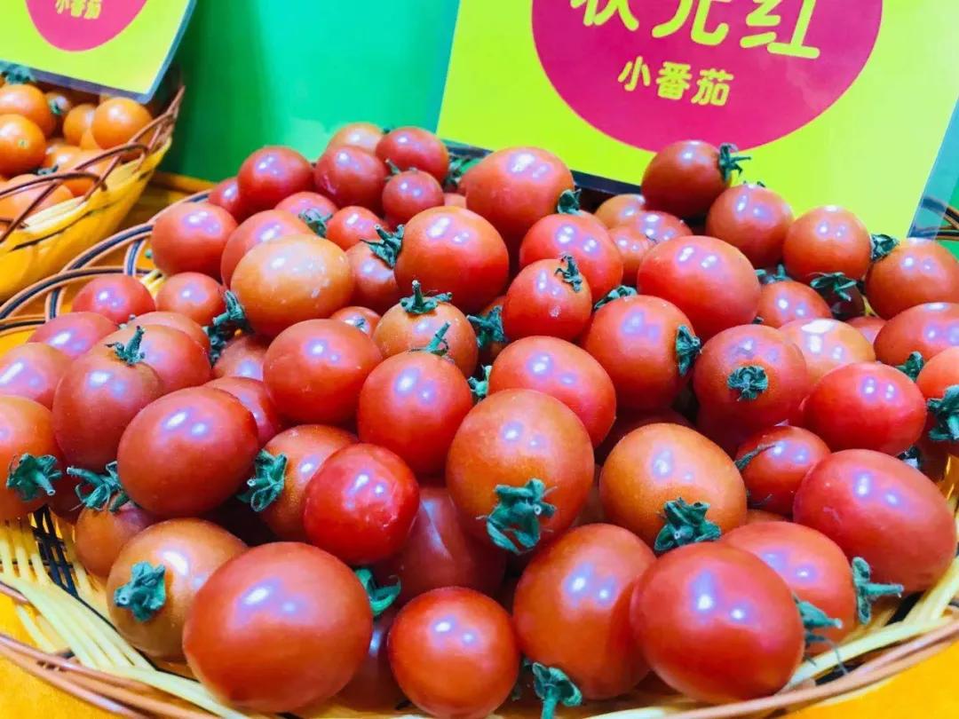 第19届农交会上的这些名特优农产品火了，有你家乡的吗？