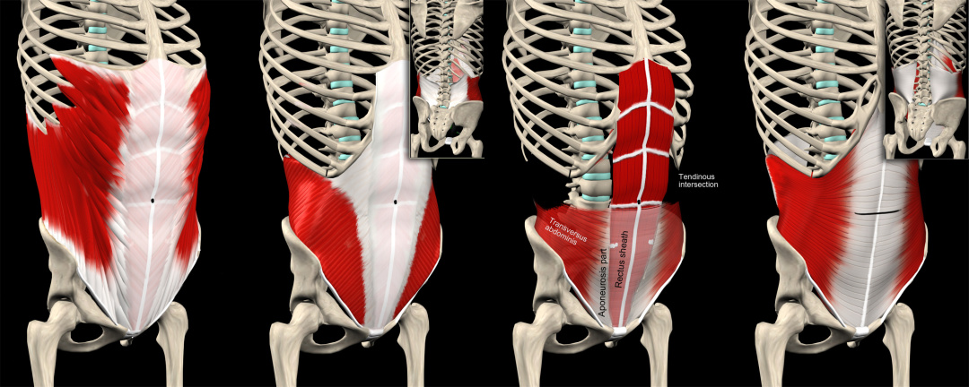 给大家示范一下练腹肌最好办法,又快又有效又简单的腹肌怎么练