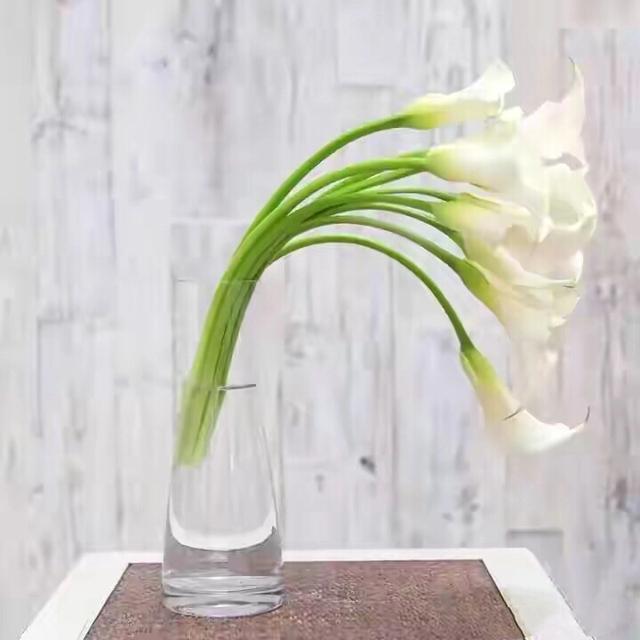 马蹄莲鲜切花焦了的养护方法,马蹄莲鲜切花怎么养护和管理