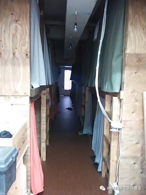 日本东京寄生虫,日本寄生虫完结篇