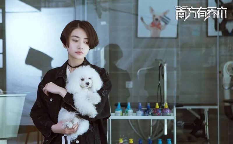 三生三世枕上书演员阵容预告,三生三世枕上书哪个角色厉害