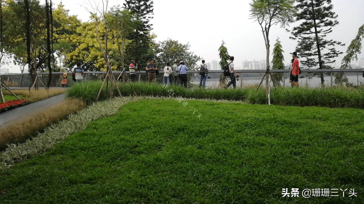 广州湿地公园推荐,广州龙潭河湿地公园