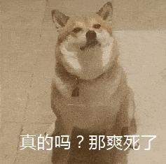 00后上海孩子一月6000零花钱,上海小囡怎么样