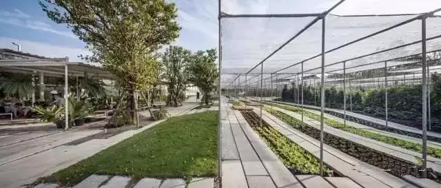 休闲农业旅游经营策略与产品销售,新型农业营销策略