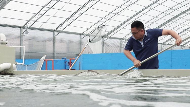 顺德顶级私房菜,寻味顺德5家古宅私房菜