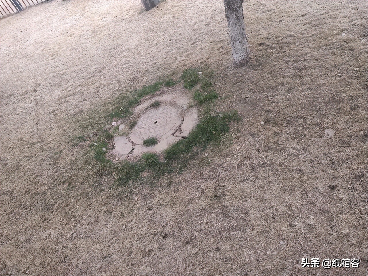 职场人：你是不是距离「井盖」最近的小草？