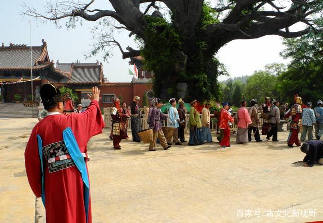 山西老鹳窝大槐树移民,大槐树上的老鹳窝