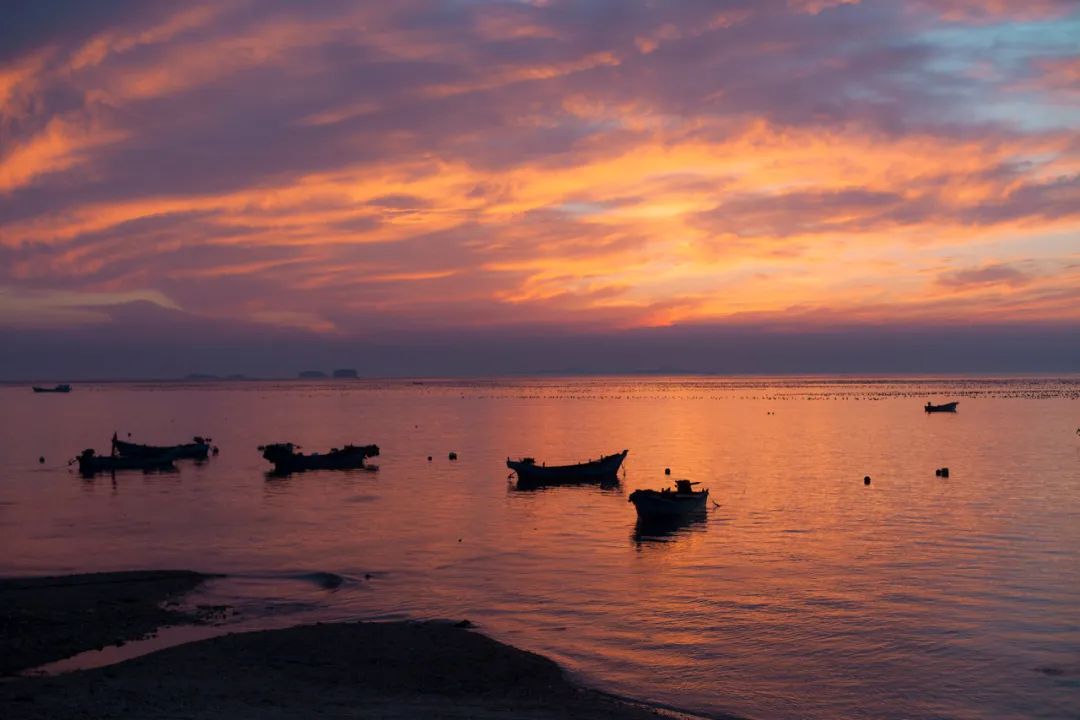 想去大连了,还有人想去大连吗