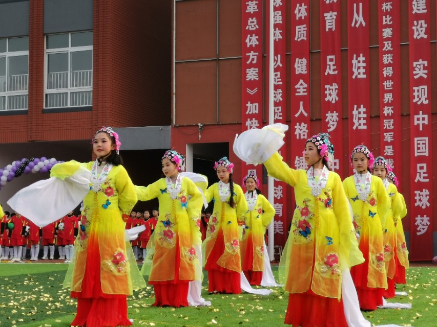 校园足球杯圆满落幕,华奥杯校园足球联赛