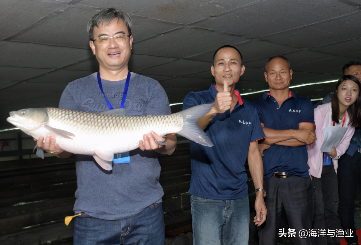 娲婚奔72灏忔椂,娲婚奔杩愯緭30灏忔椂涓嶆