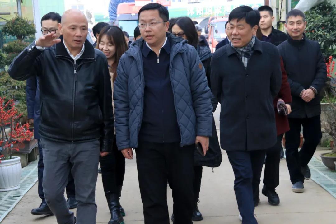 宿迁市沭阳县沭阳国际花木城,沭阳国际花木城布局