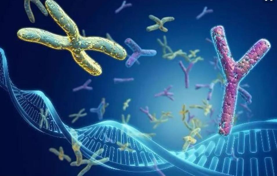 为生儿子打死女儿，跳大神背后的重男轻女，谨记生男生女一样好