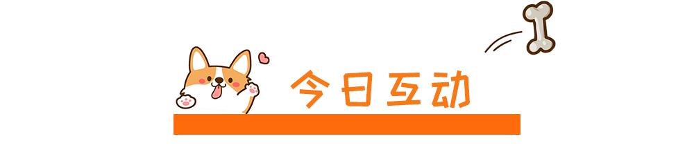 什么狗适合陪孩子长大不掉毛好养,有不会掉毛的狗子