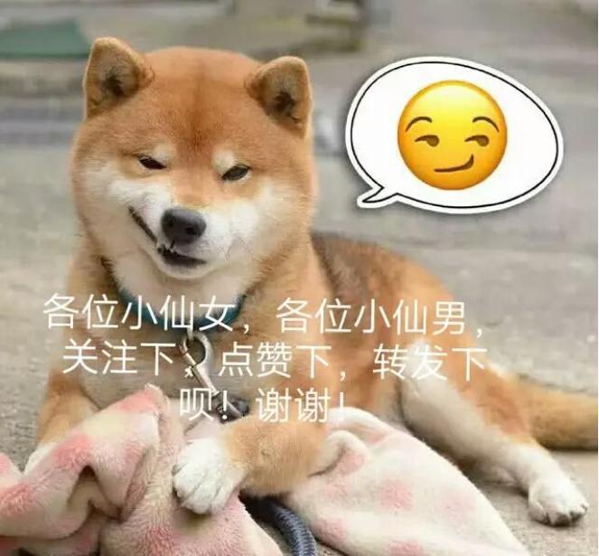 dnf日不落阿破克烈装备,dnf阿破克烈日不落预告