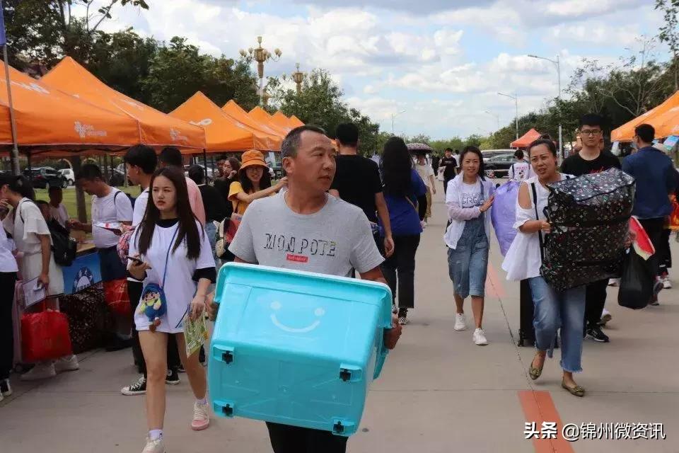 锦州渤海大学!爸妈,您还好吧?来渤大第23天,我挺好的