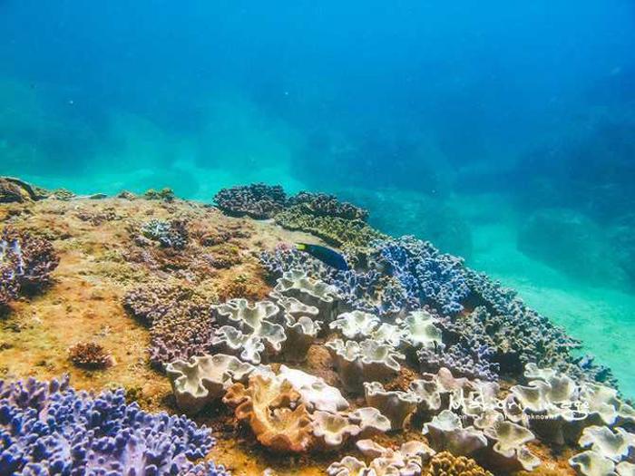 了解海南,我所了解的生活