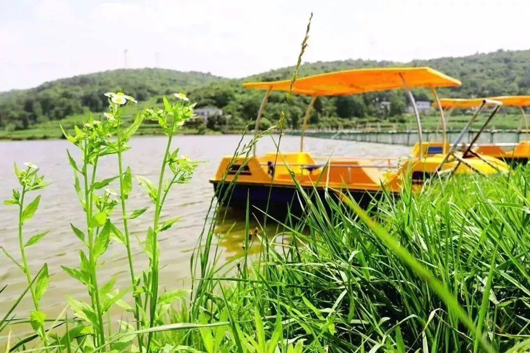 贵州最美农家乐,贵州这些藏在山间的诗意民宿