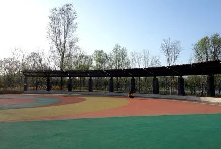 去看万紫千红的花海,五一近郊赏花去看缤纷七彩花田