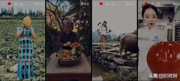 对于后浪的看法,对后浪最精辟的解读