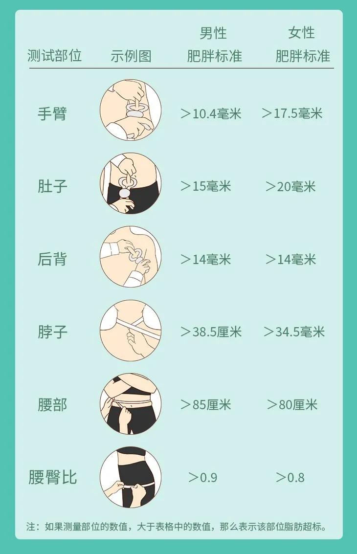 每超标0.9斤,减寿29天!超过这些数值,就该减肥了!