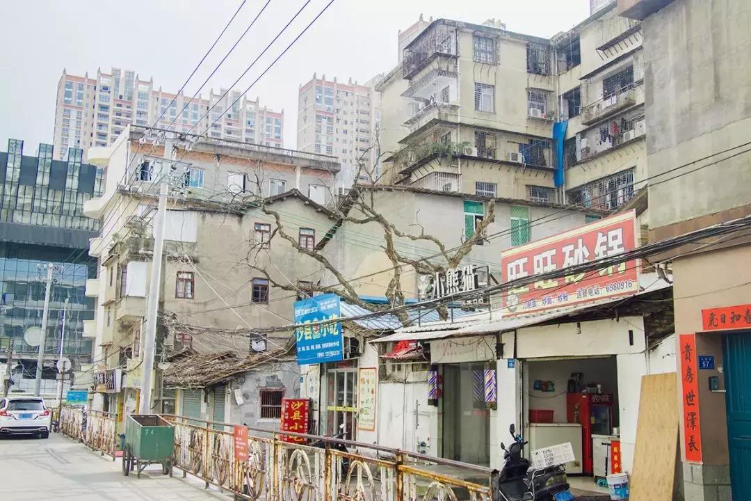 莆田中山中学效果图,莆田中山中学电话